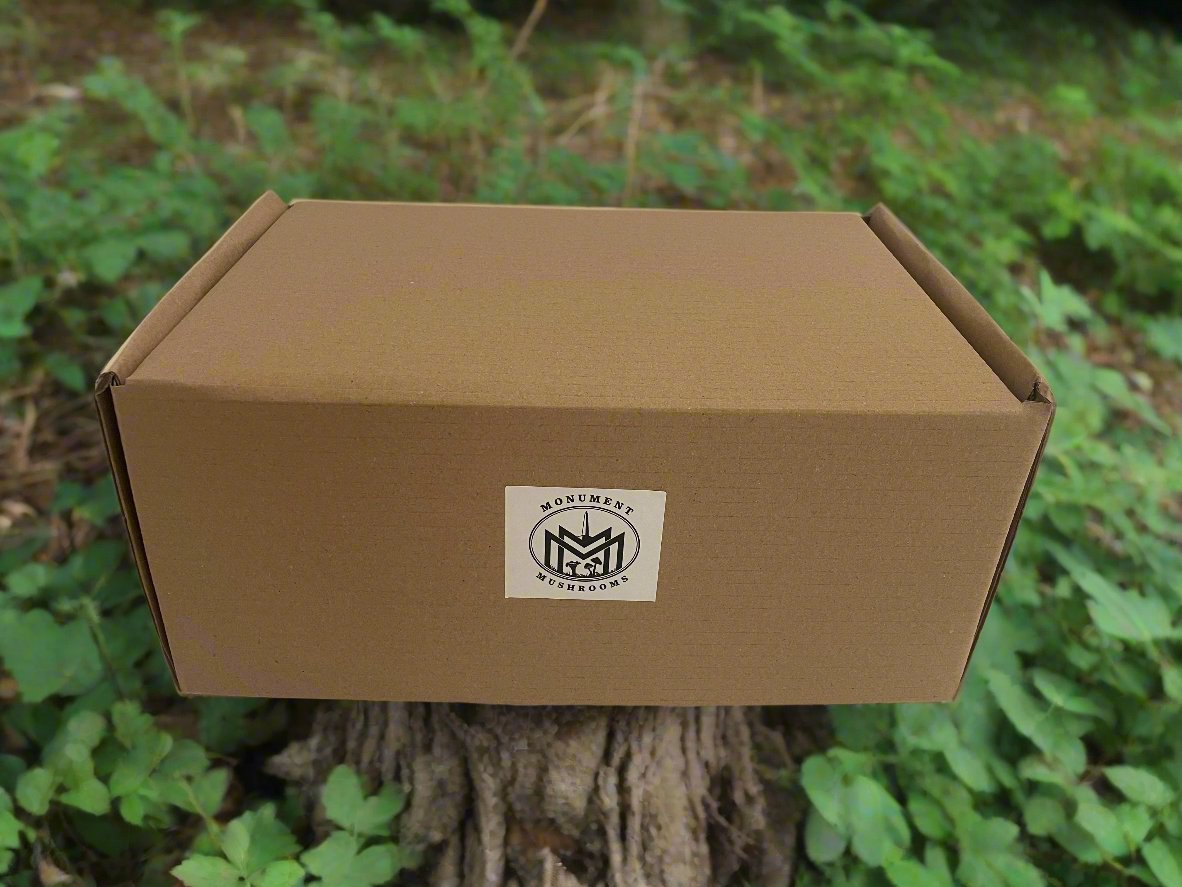 Gourmet 500g Mixed Woodland Mushroom Postal Box